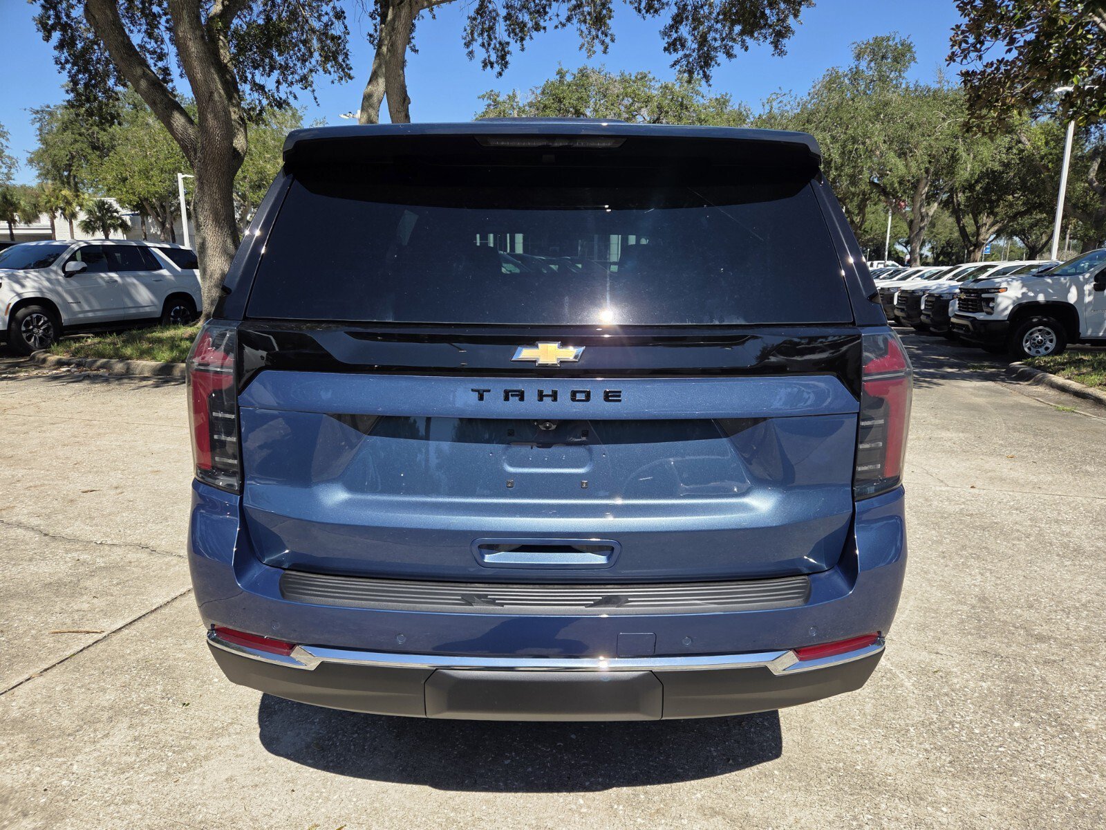 New 2026 Lakeshore Blue Metallic Chevrolet LS image 6