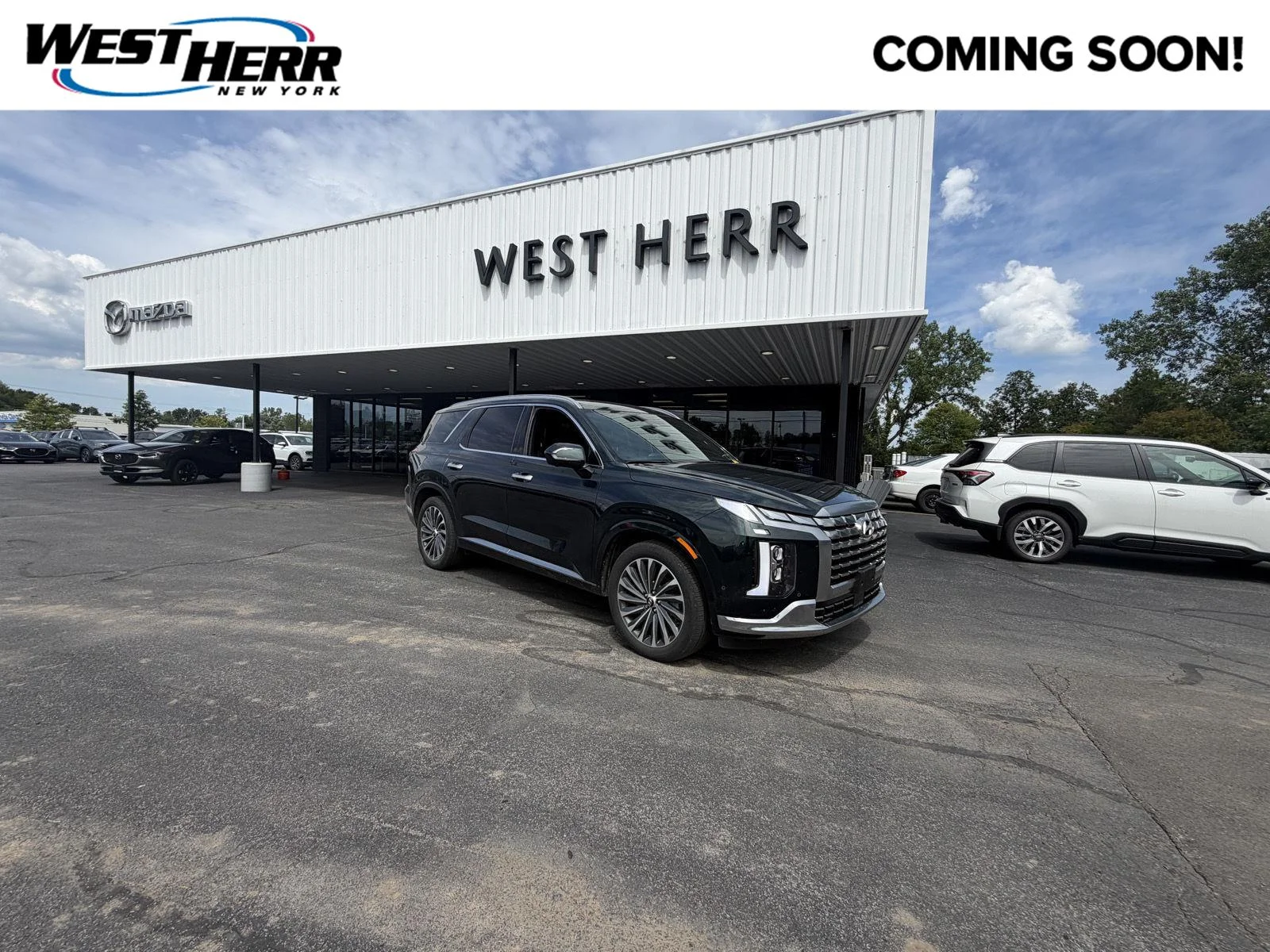 Used 2025 Robust Emerald Hyundai Calligraphy image 1