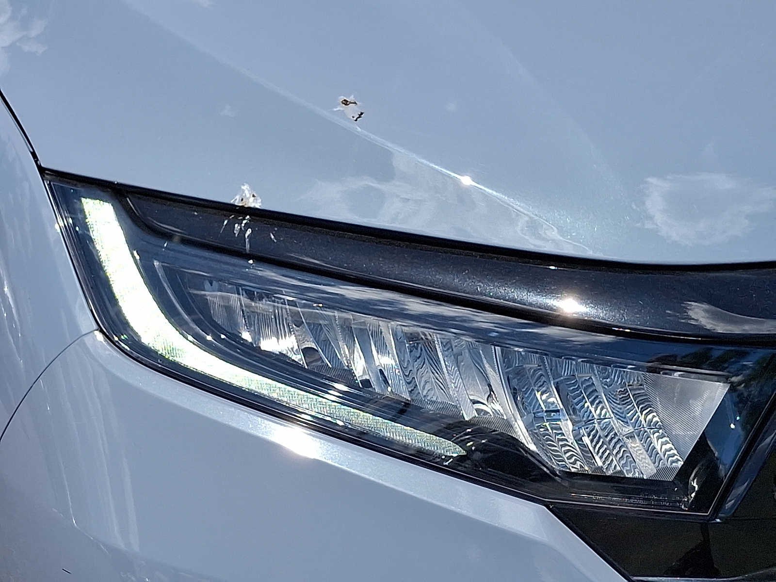 2024 Honda Odyssey SPORT - Photo 10