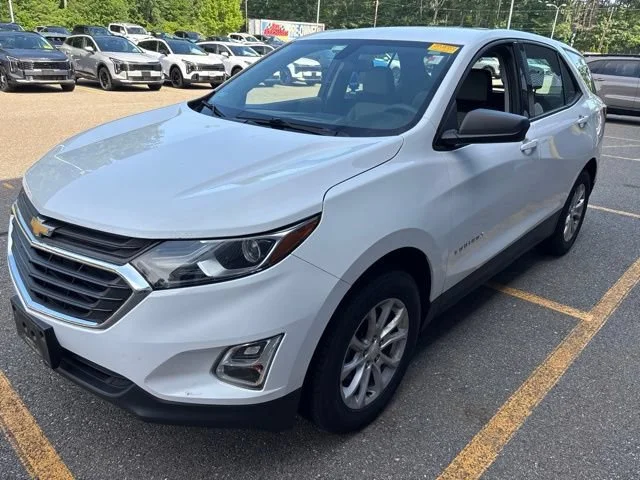 Used 2019 Summit White Chevrolet LS image 3