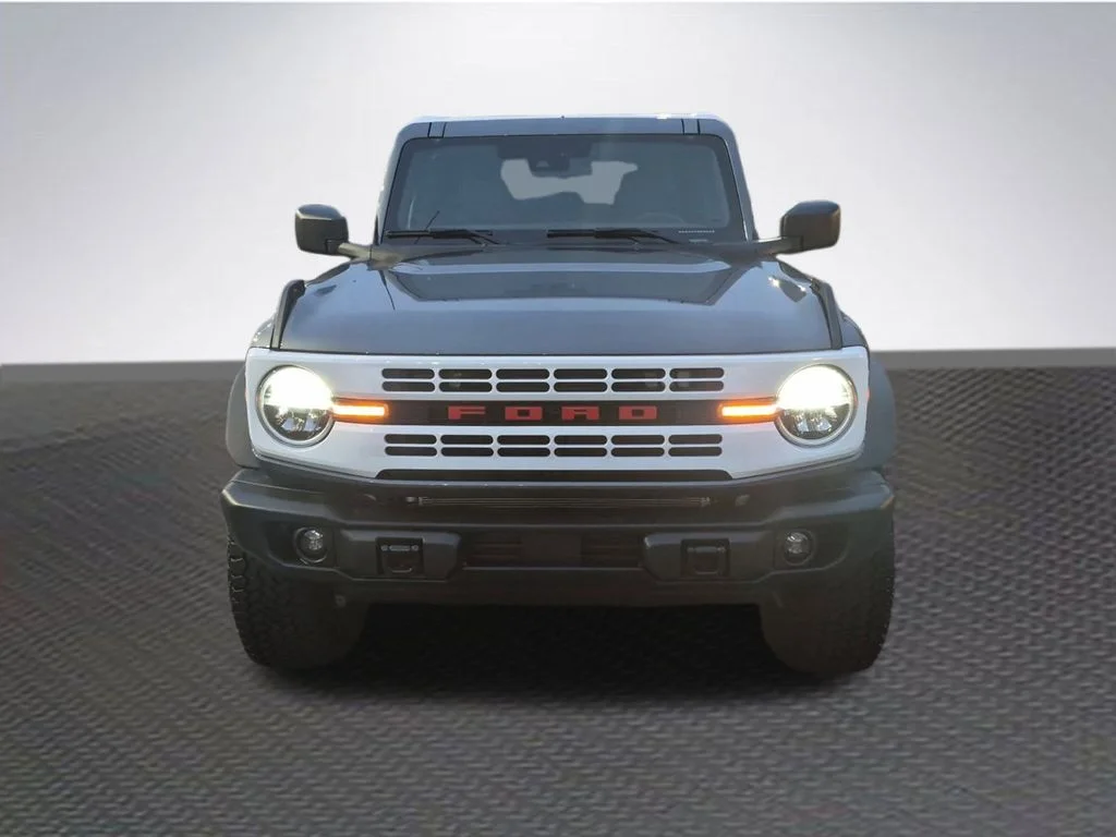 New 2025 Gray Ford Heritage Edition image 3