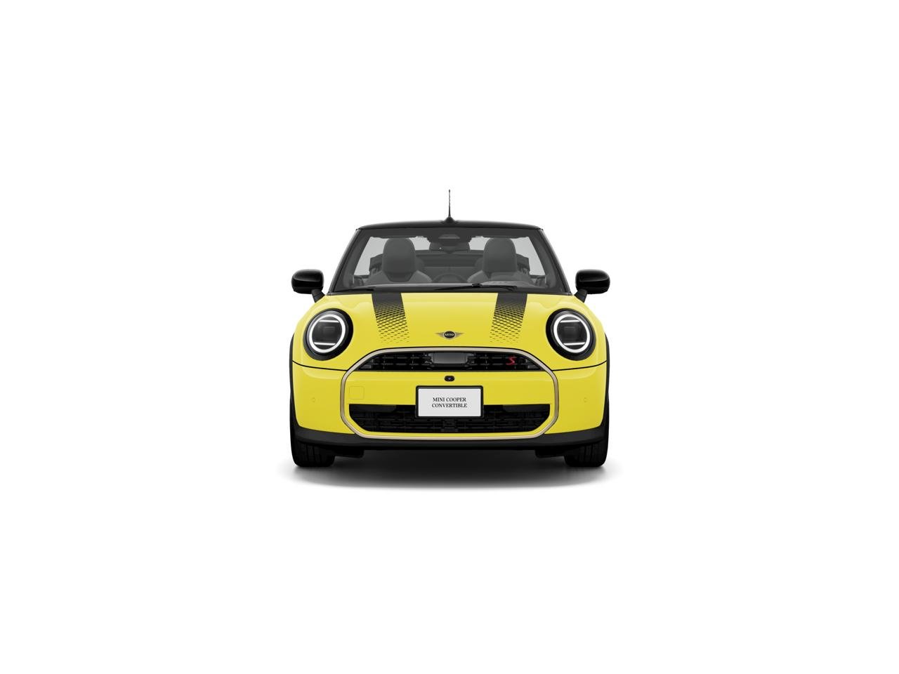 New 2026 Sunny Side Yellow MINI ICONIC image 2