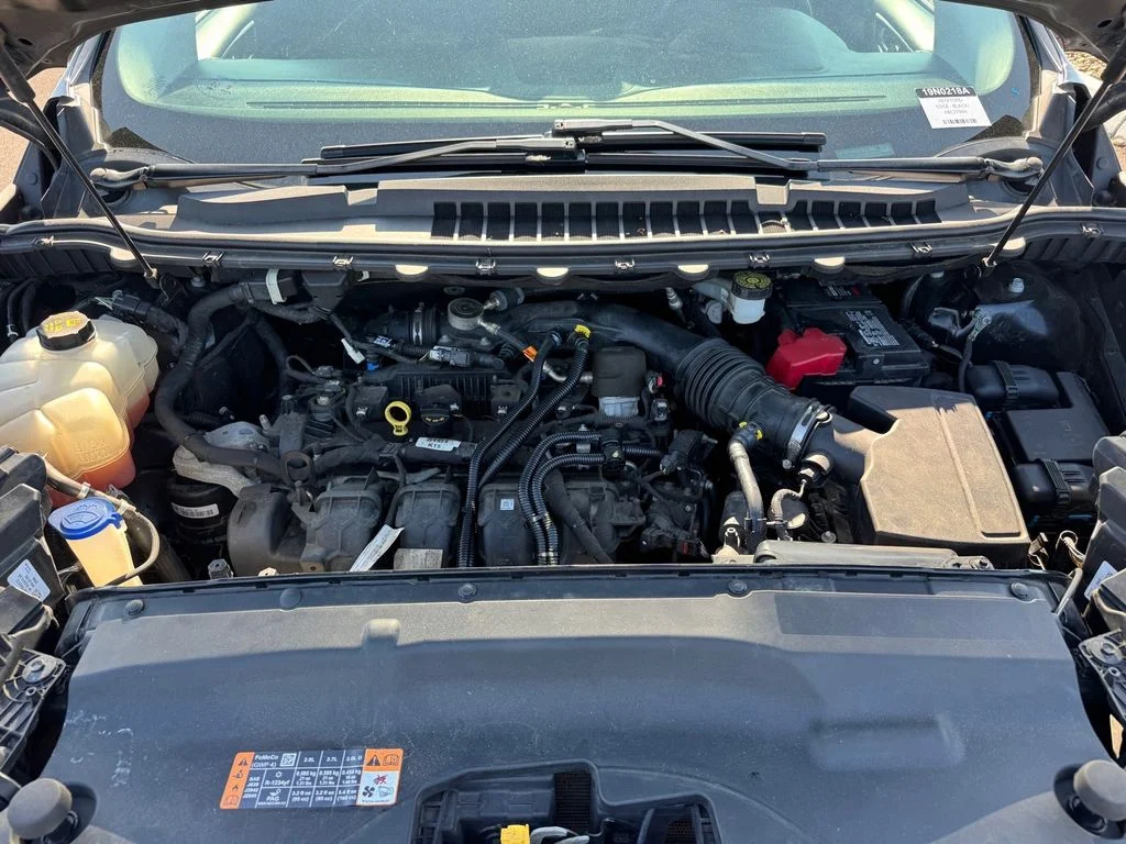 Used 2019 Black Ford Titanium image 18