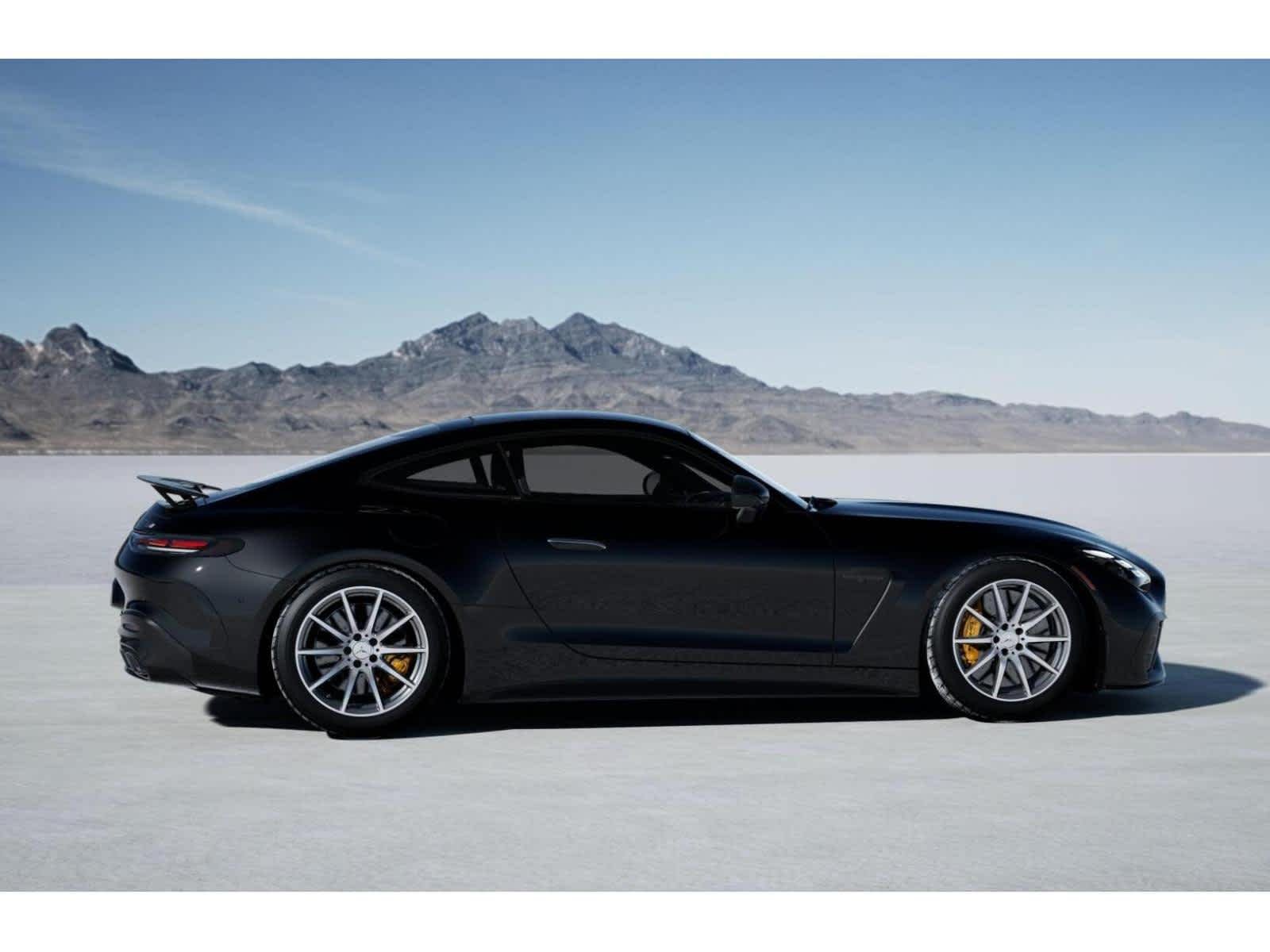 2025 Mercedes-Benz AMG GT Coupe 63 PRO - Photo 17