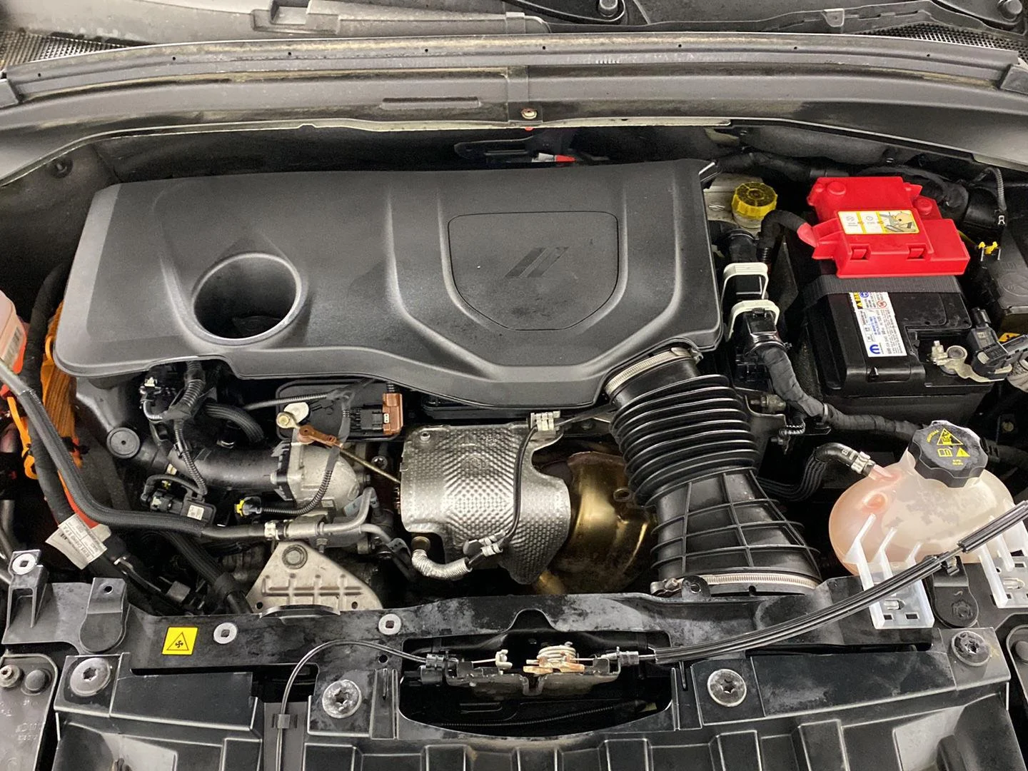 Used 2024 8 Ball Dodge R/T image 30