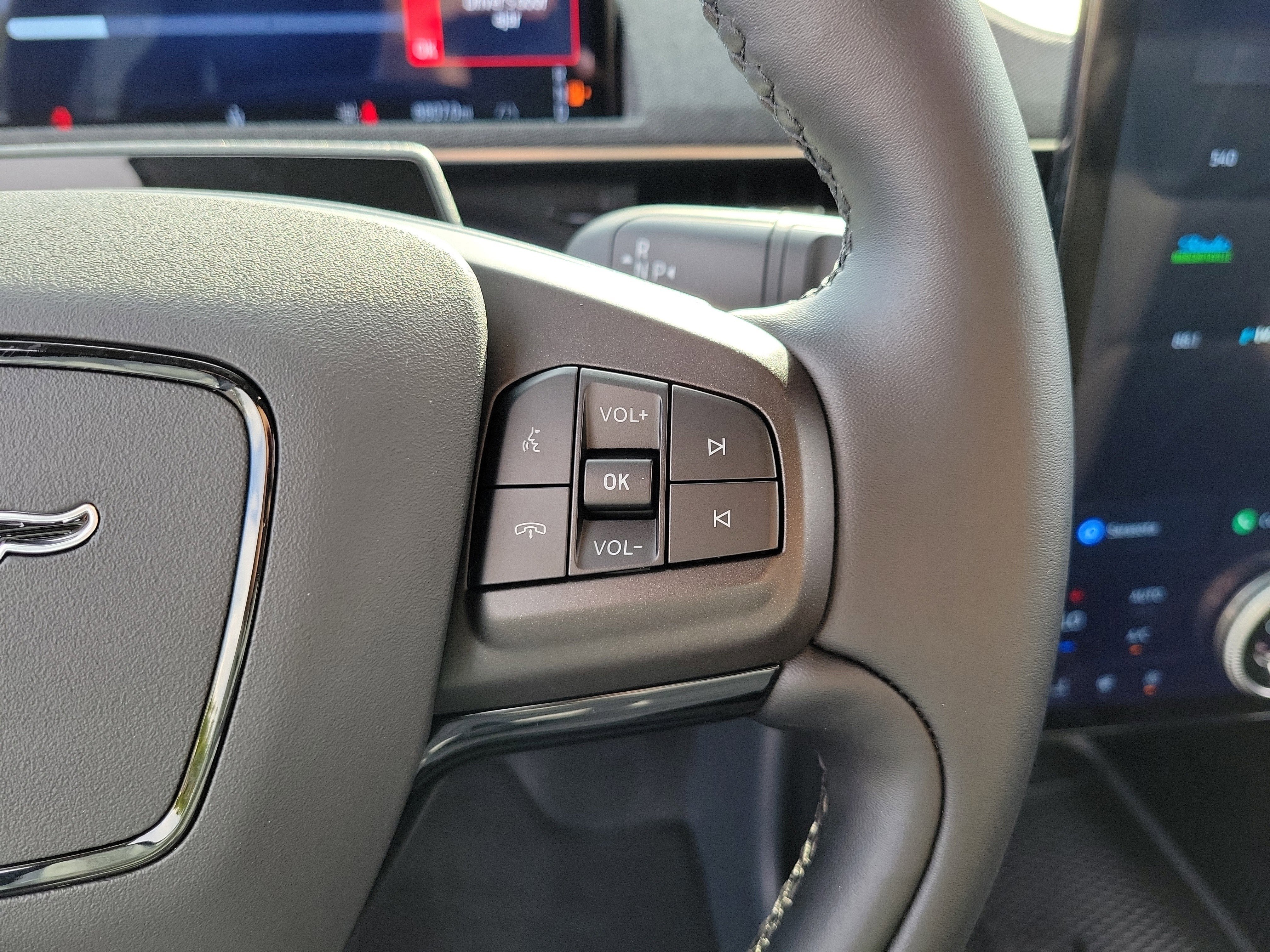Used 2025 Shadow Black Ford Premium image 22
