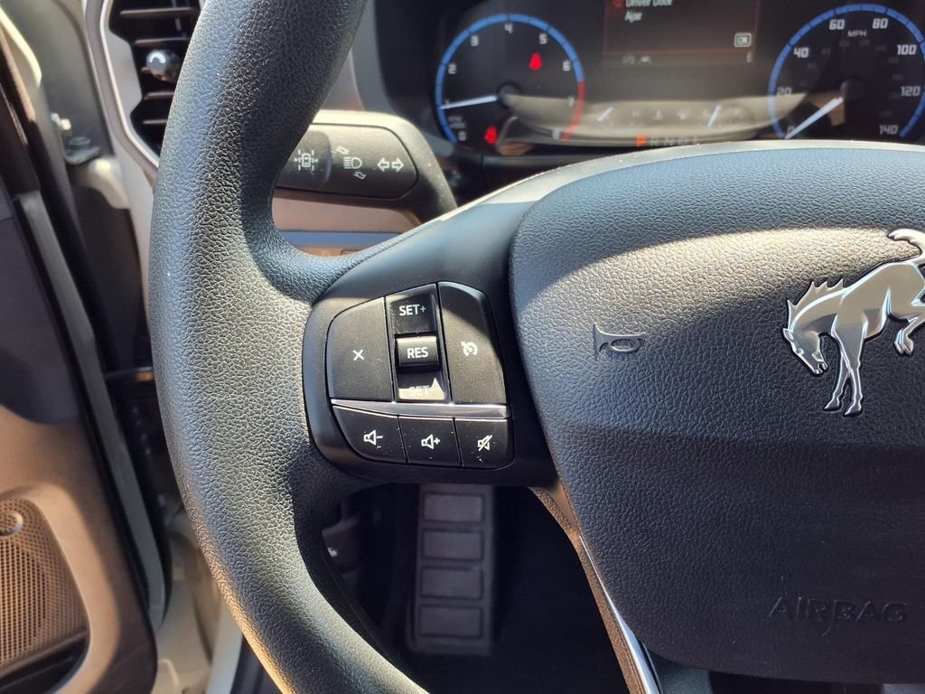 Used 2023 Cactus Gray Ford Big Bend image 8