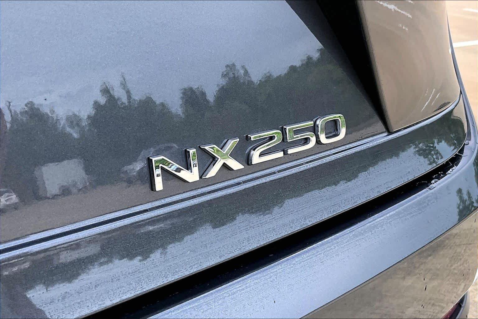 Used 2025 Cloudburst Gray Lexus Premium image 10
