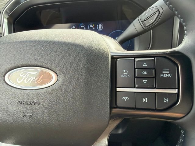 New 2026 Agate Black Metallic Ford F-450® Platinum® image 24