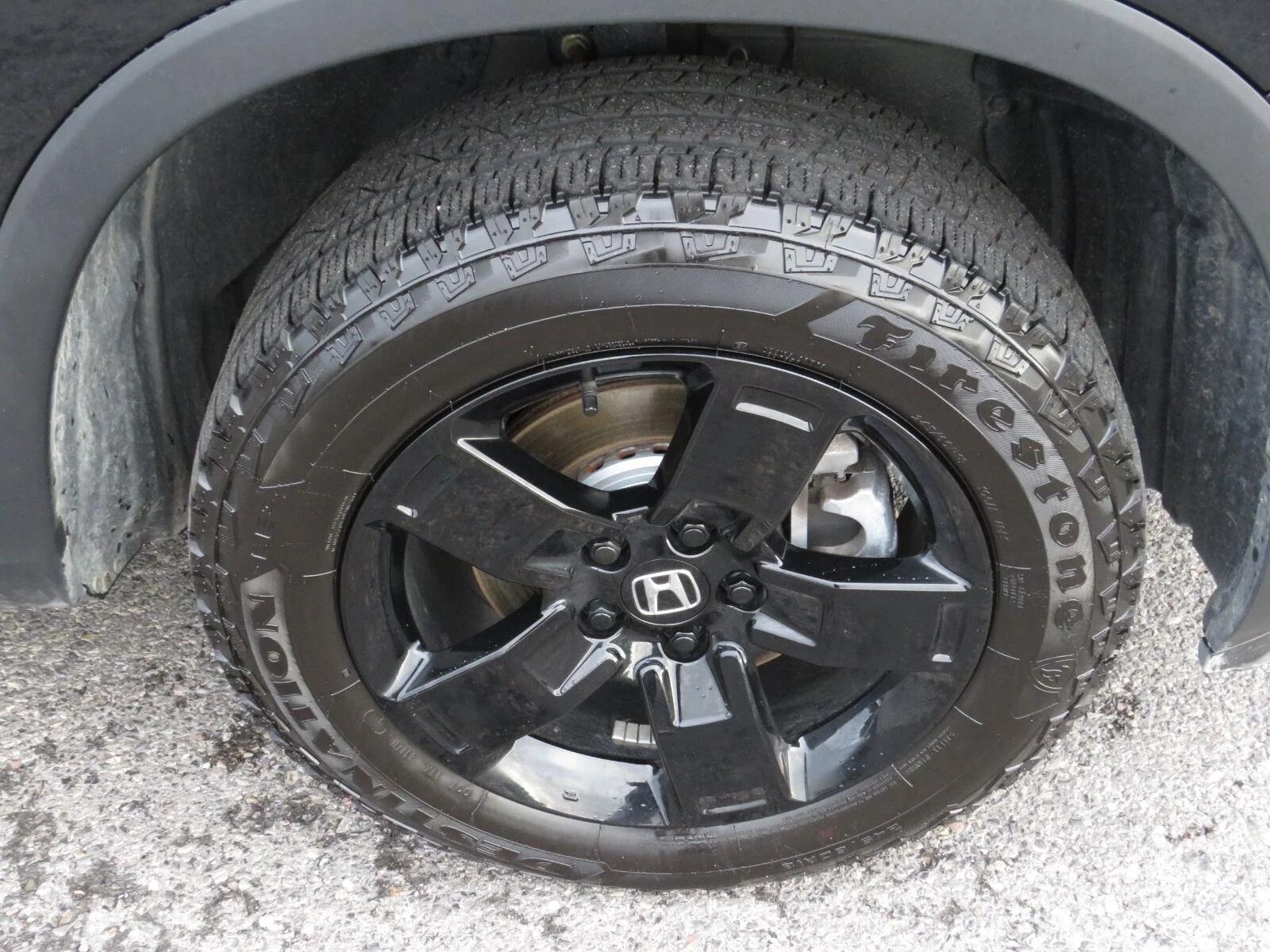 Used 2024  Honda Black Edition image 14