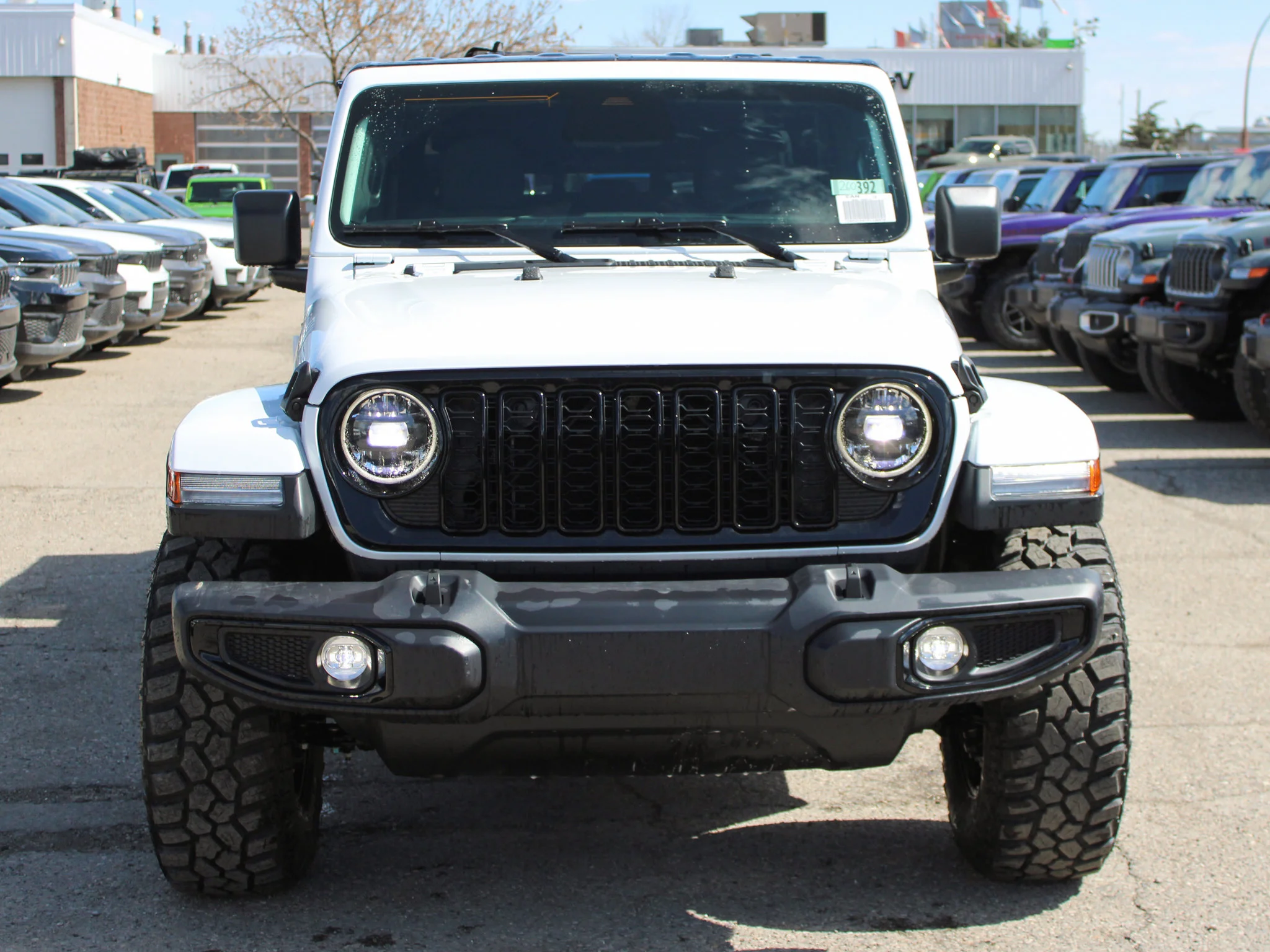 New 2026 White Jeep Willys*, Black Rhino Wheels, 33 Inch Tires, Treeline Outdoors Rooftop Tent image 10