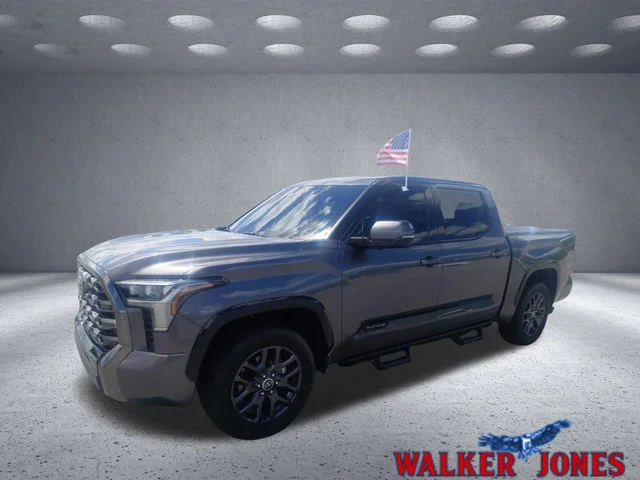 2023 Toyota Tundra 2WD Platinum