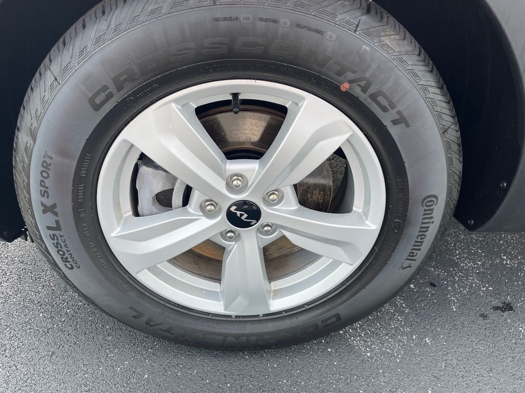 Photo 10