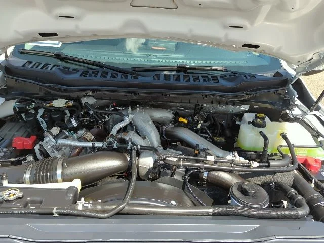 Used 2025 White Ford XLT image 23