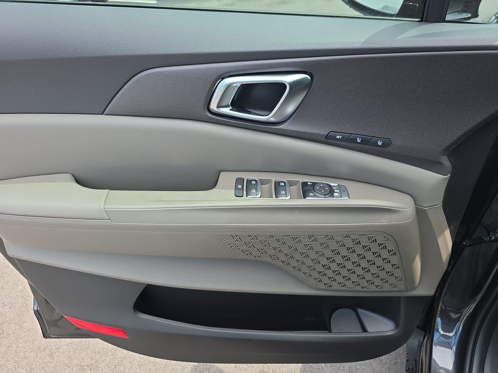 New 2026 Panthera Metal Kia EX image 18