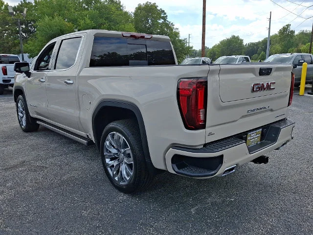 New 2026 Coastal Dune GMC Denali image 4