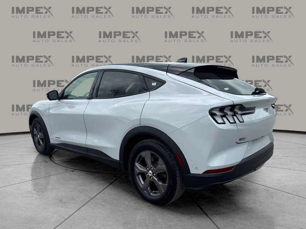 Used 2023 White Ford Select image 3