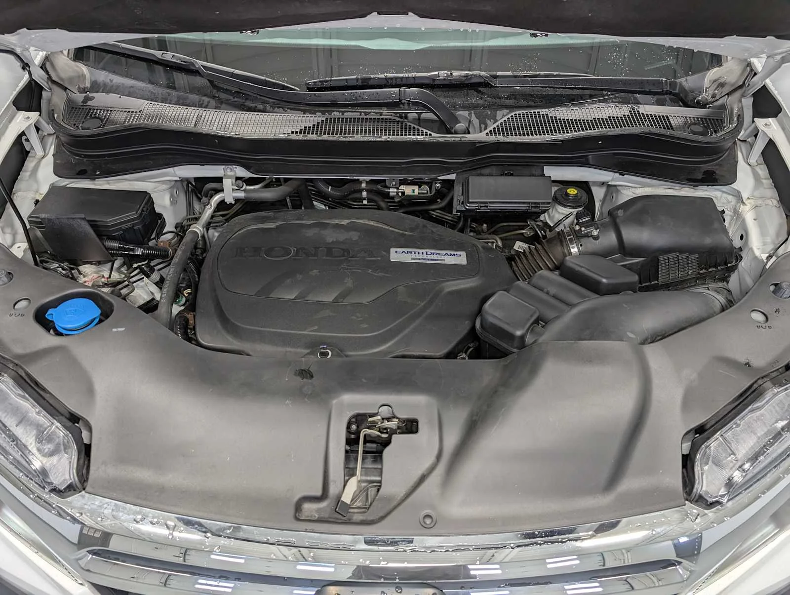 Used 2019 Platinum White Pearl Honda RTL image 13