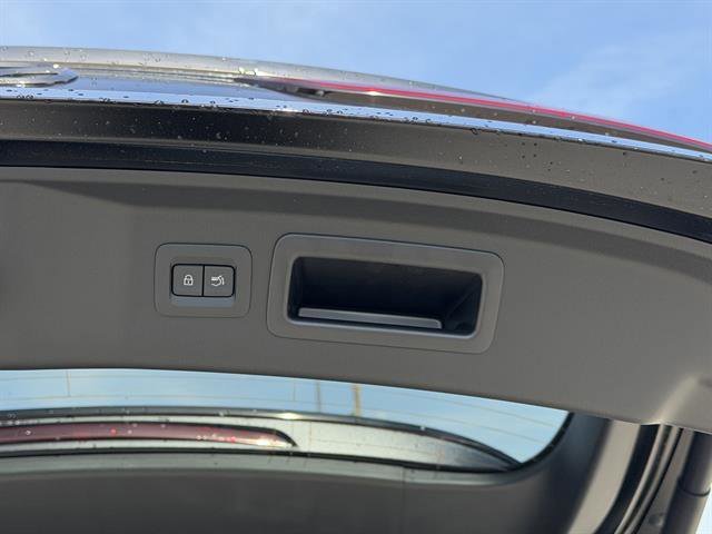 New 2026 Jet Black Mica Mazda SC Plus image 6