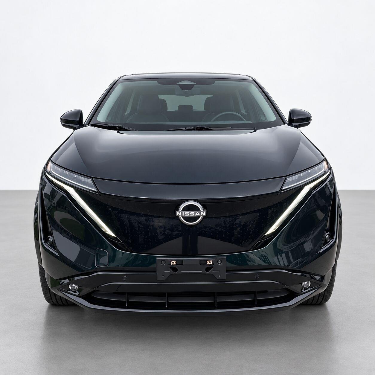 Used 2024 Northern Lights Metallic Nissan EVOLVE+ image 8