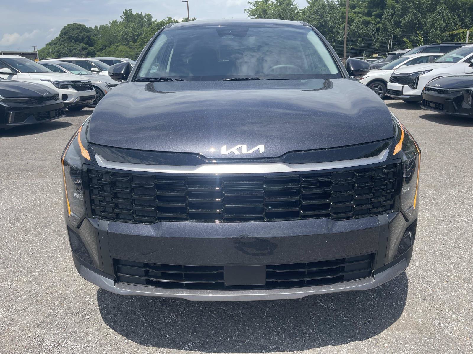 New 2026 Panthera Metal Gray Kia EX image 8