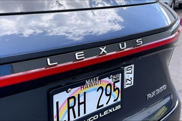 2025 Lexus RX 350 - Photo 29