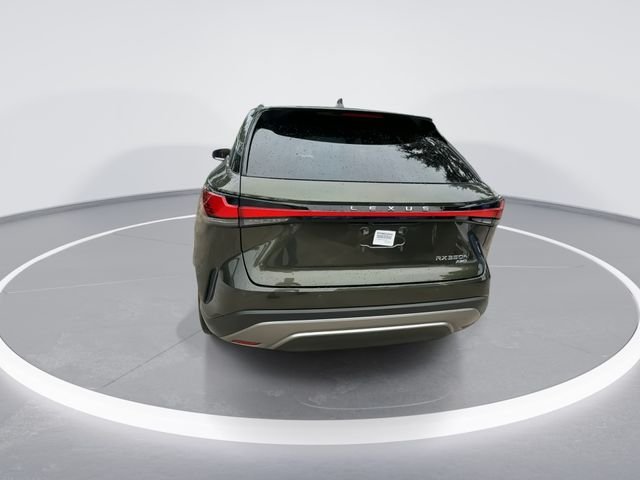2025 Lexus RX Hybrid 350h - Photo 6