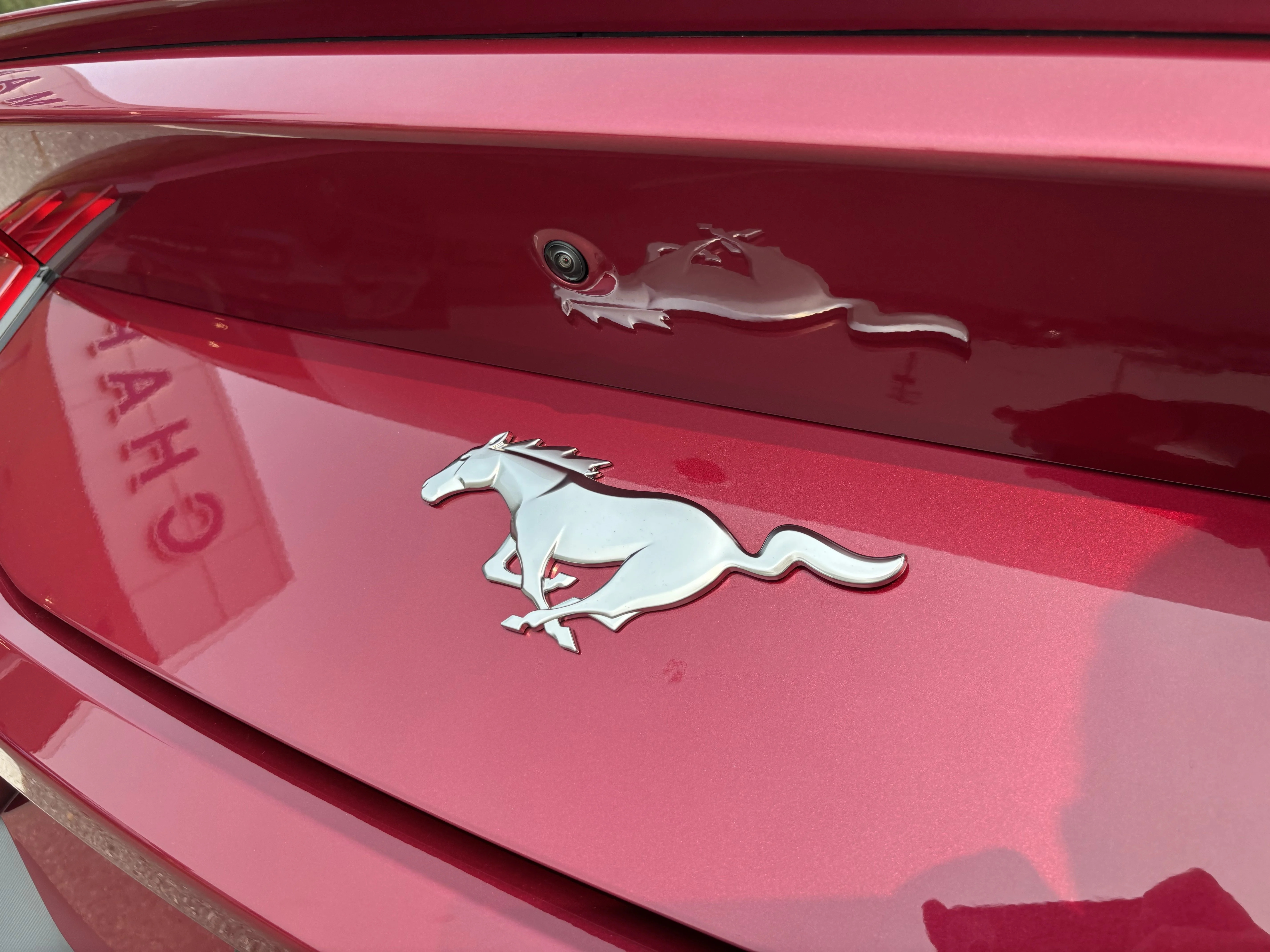 Used 2025 Magenta Ford EcoBoost Premium image 34