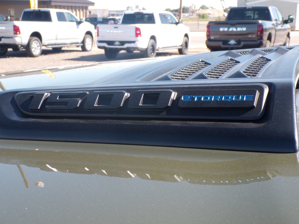 New 2026 Tank Exterior Paint RAM Rebel image 9