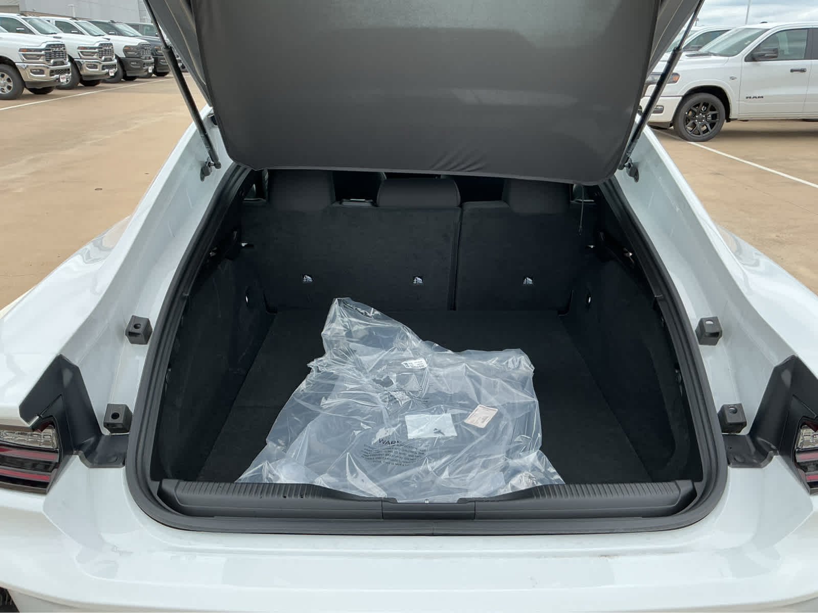 New 2026 White Knuckle Exterior Paint Dodge R/T image 17
