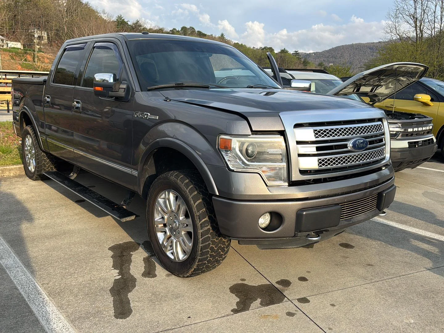 2013 Ford F-150 Platinum 4x4 SuperCrew 145-in's photo