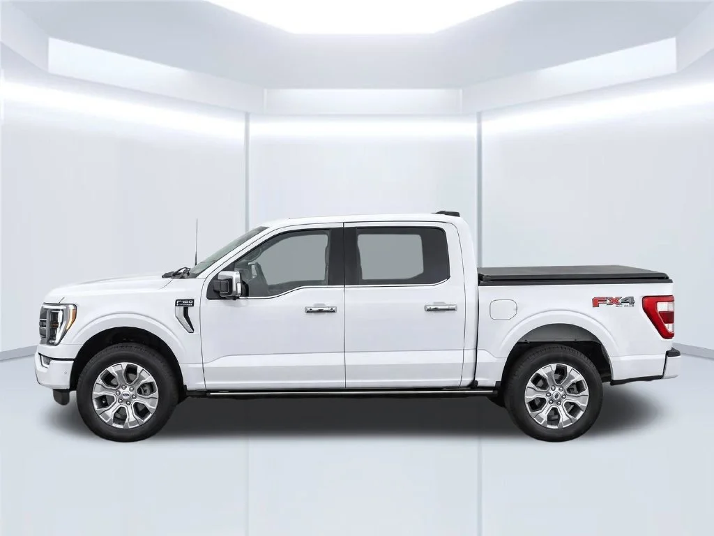 Used 2022 White Ford Platinum image 10
