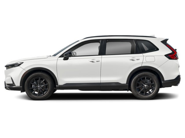 New 2026 Platinum White Pearl Honda Sport image 3