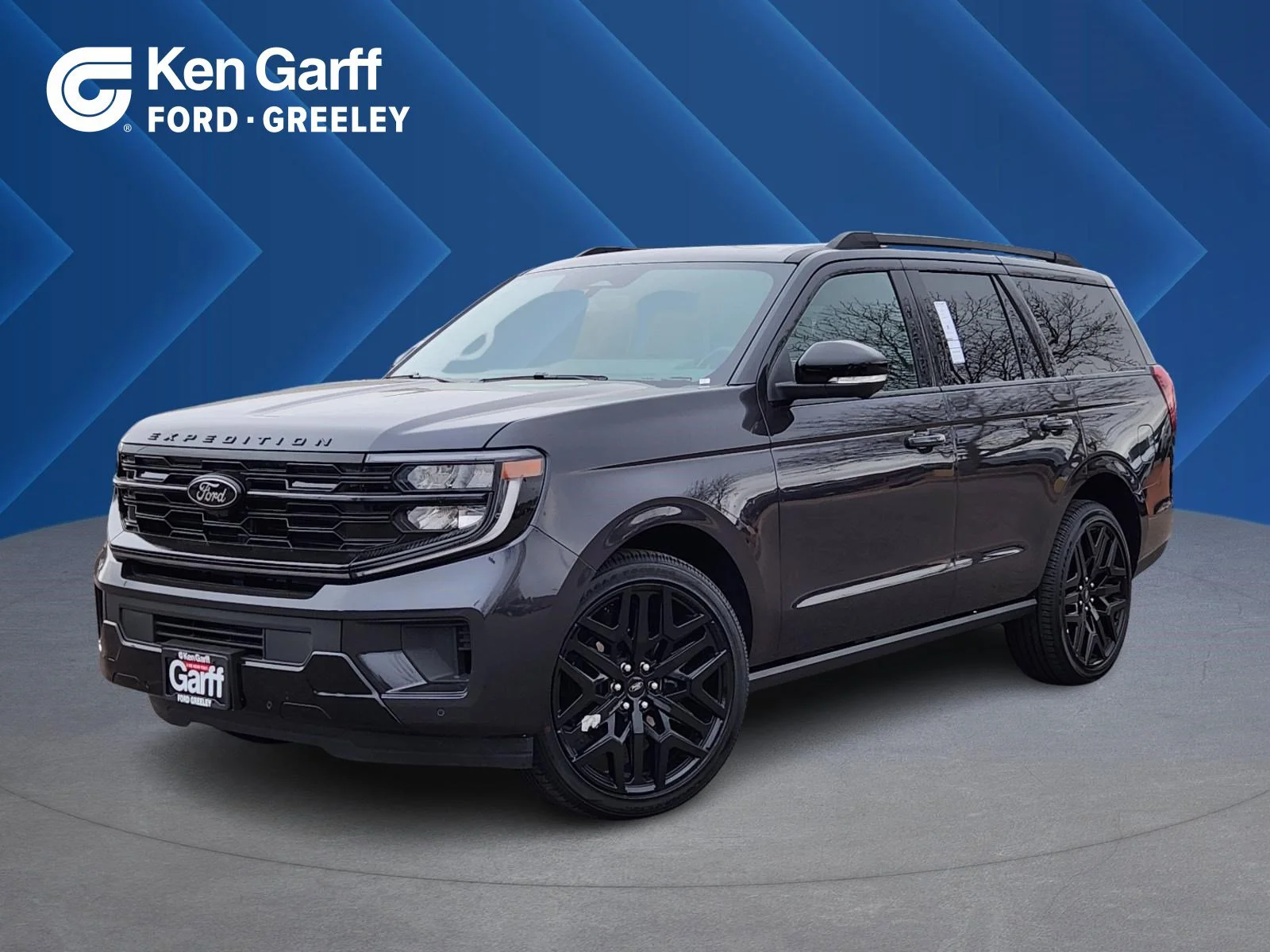 2026 Ford Expedition Platinum 4x4's photo