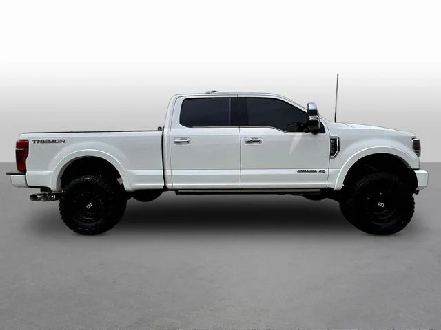 Used 2022 White Ford Platinum image 9
