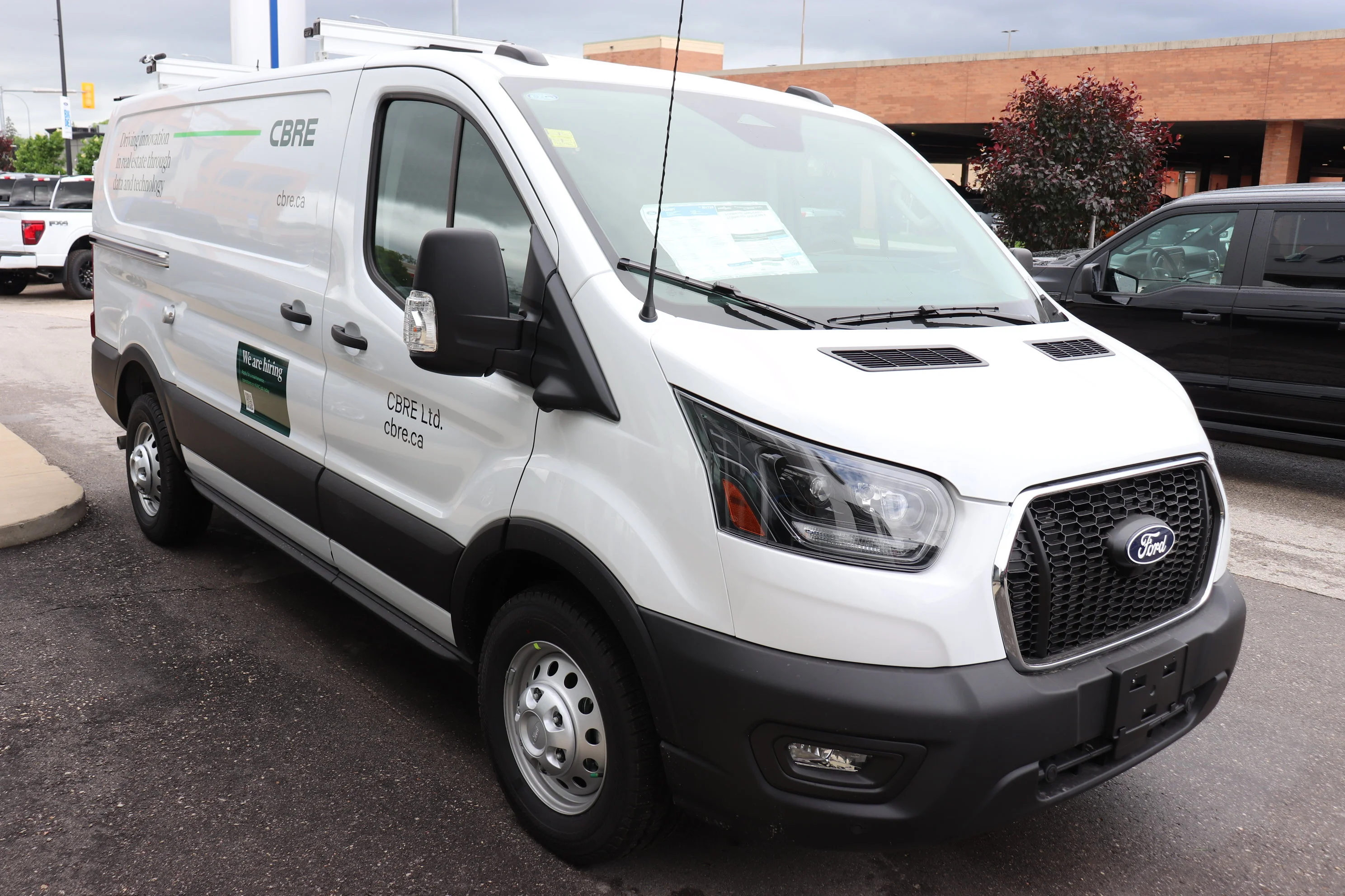 New 2026 OXFORD WHITE Ford  image 5