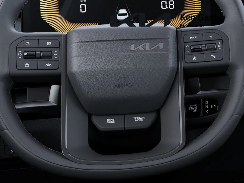 New 2027 Panthera Metal Matte Kia X-Line EX image 22