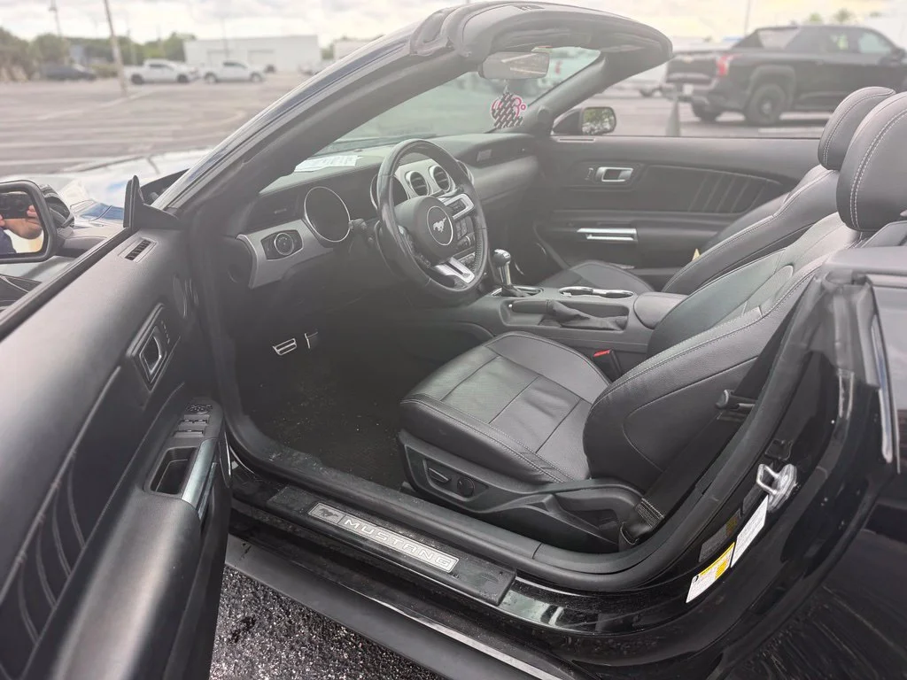 Used 2023 Black Ford EcoBoost Premium Convertible image 12