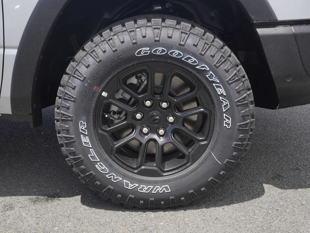 New 2026 Silver Zynith Exterior Paint RAM Rebel image 9