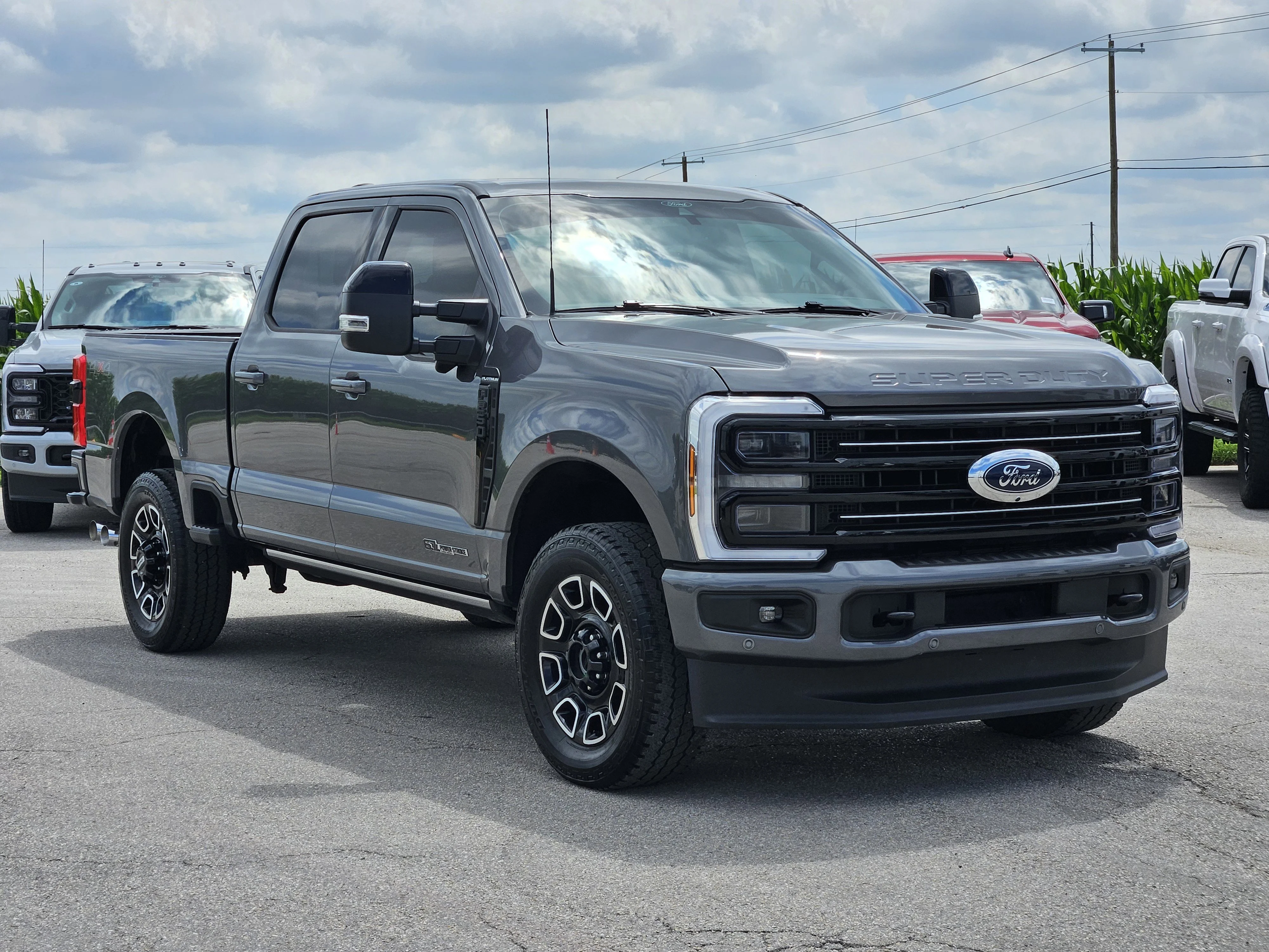 Used 2025  Ford Platinum image 3