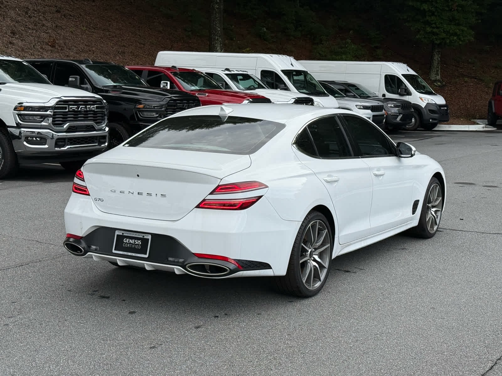 Used 2025 Alta White Genesis 2.5T image 5