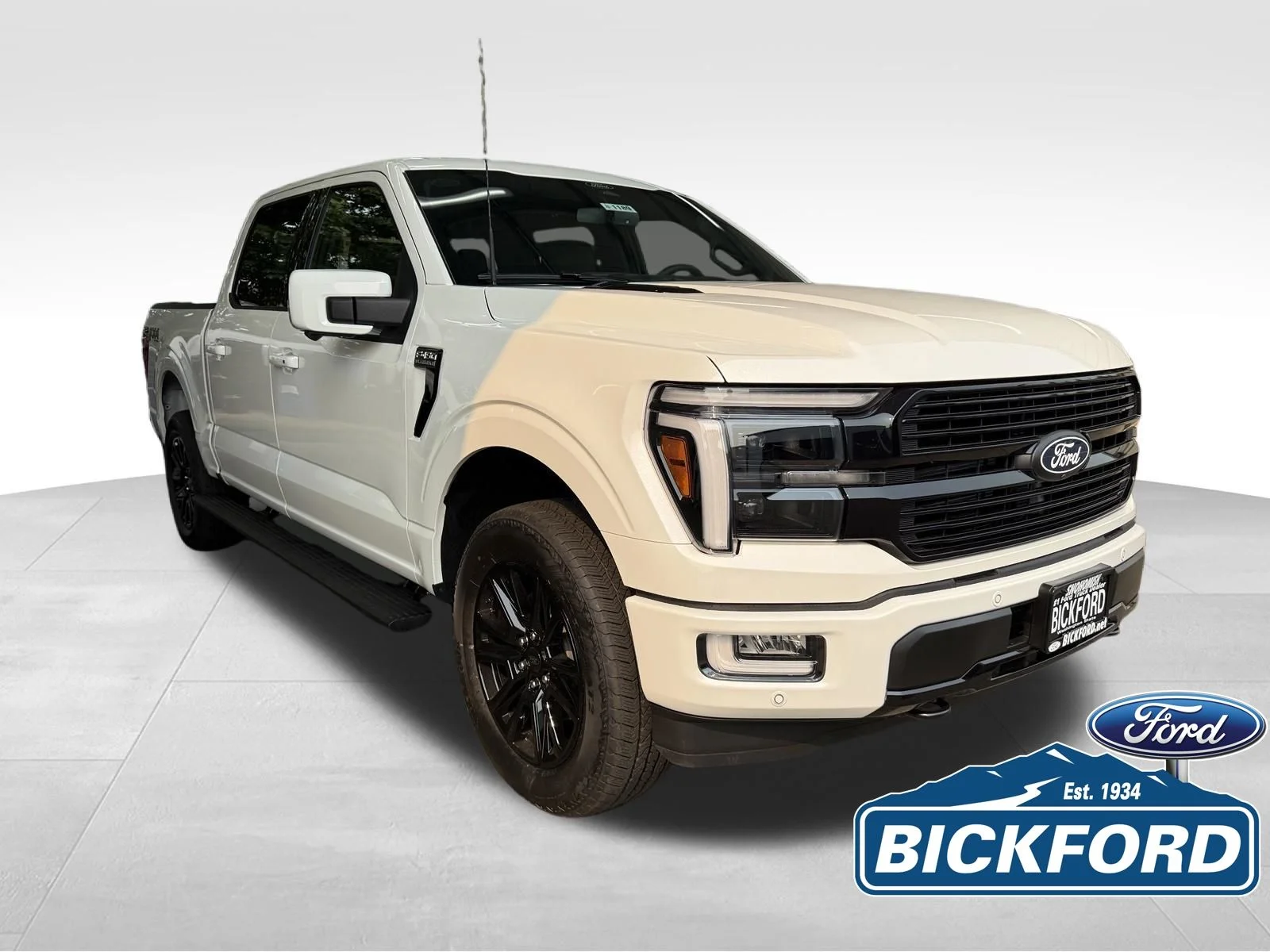 New 2026 White Ford Platinum image 3