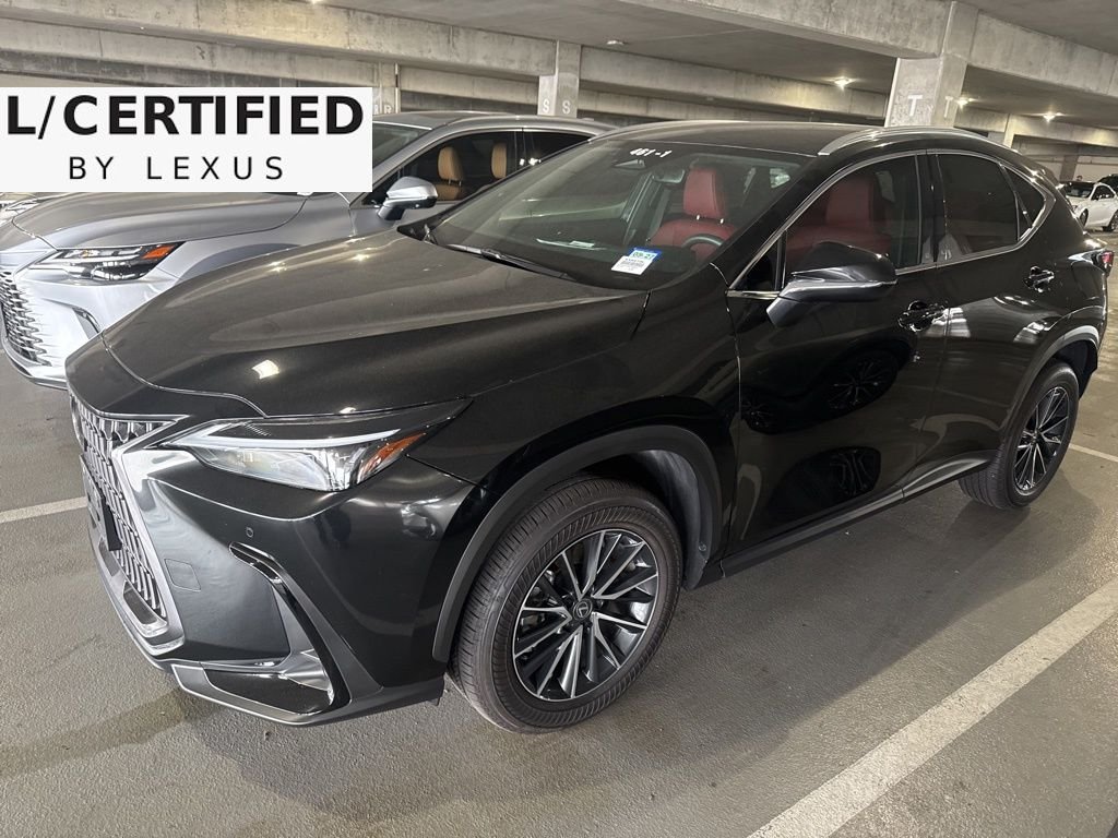 2025 Lexus NX 250