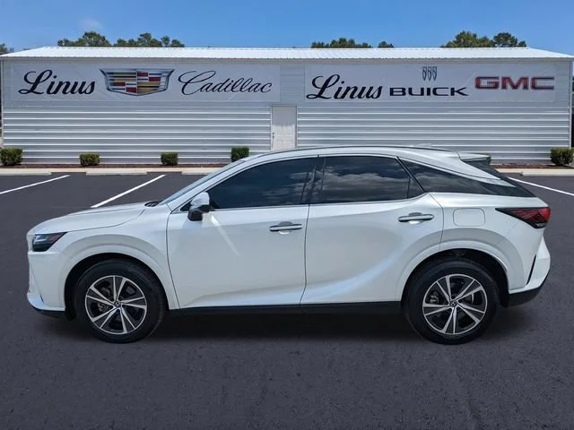 2025 Lexus RX 350 - Photo 7