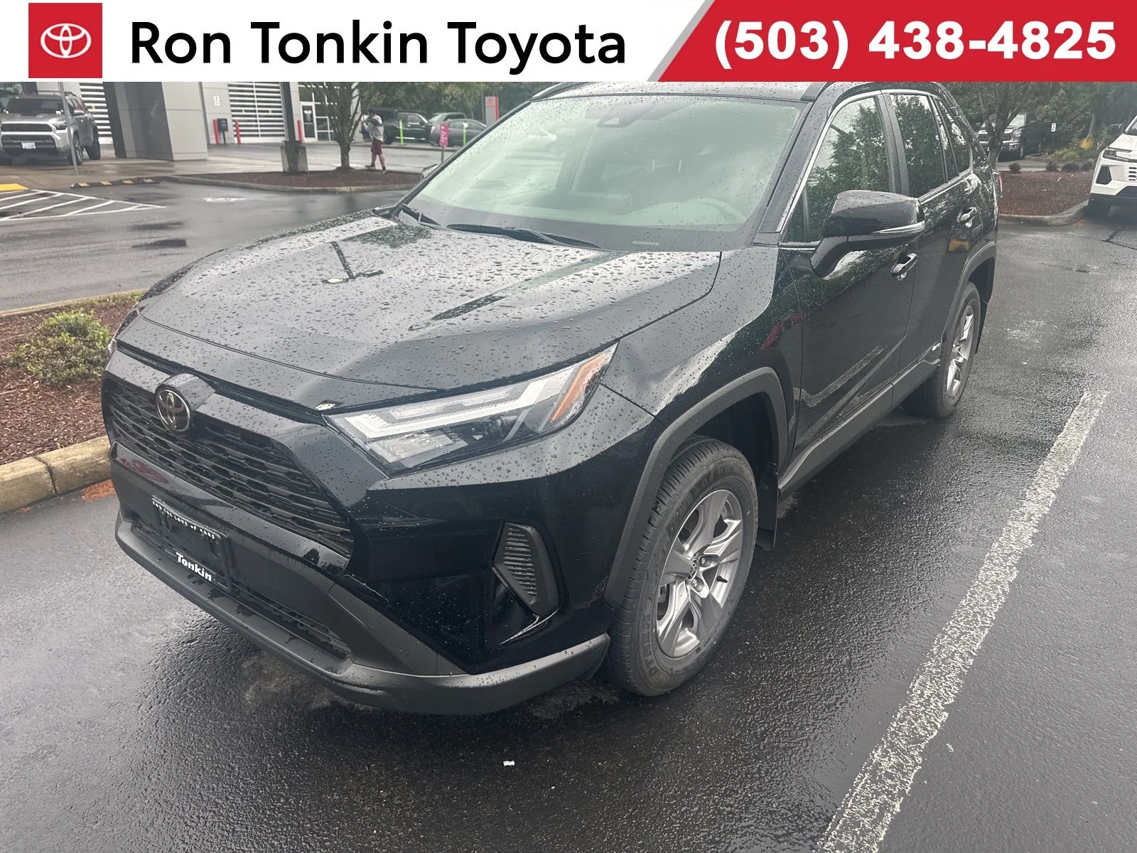 2025 Toyota RAV4 Hybrid LE AWD's photo