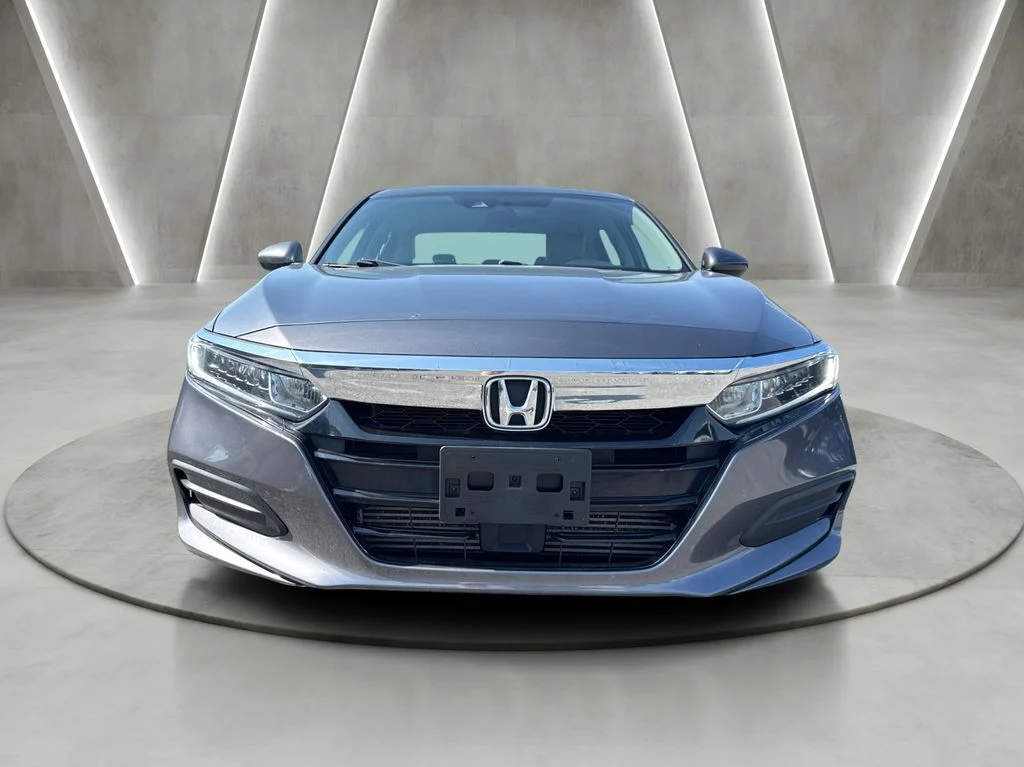 Used 2019 Gray Honda LX image 2