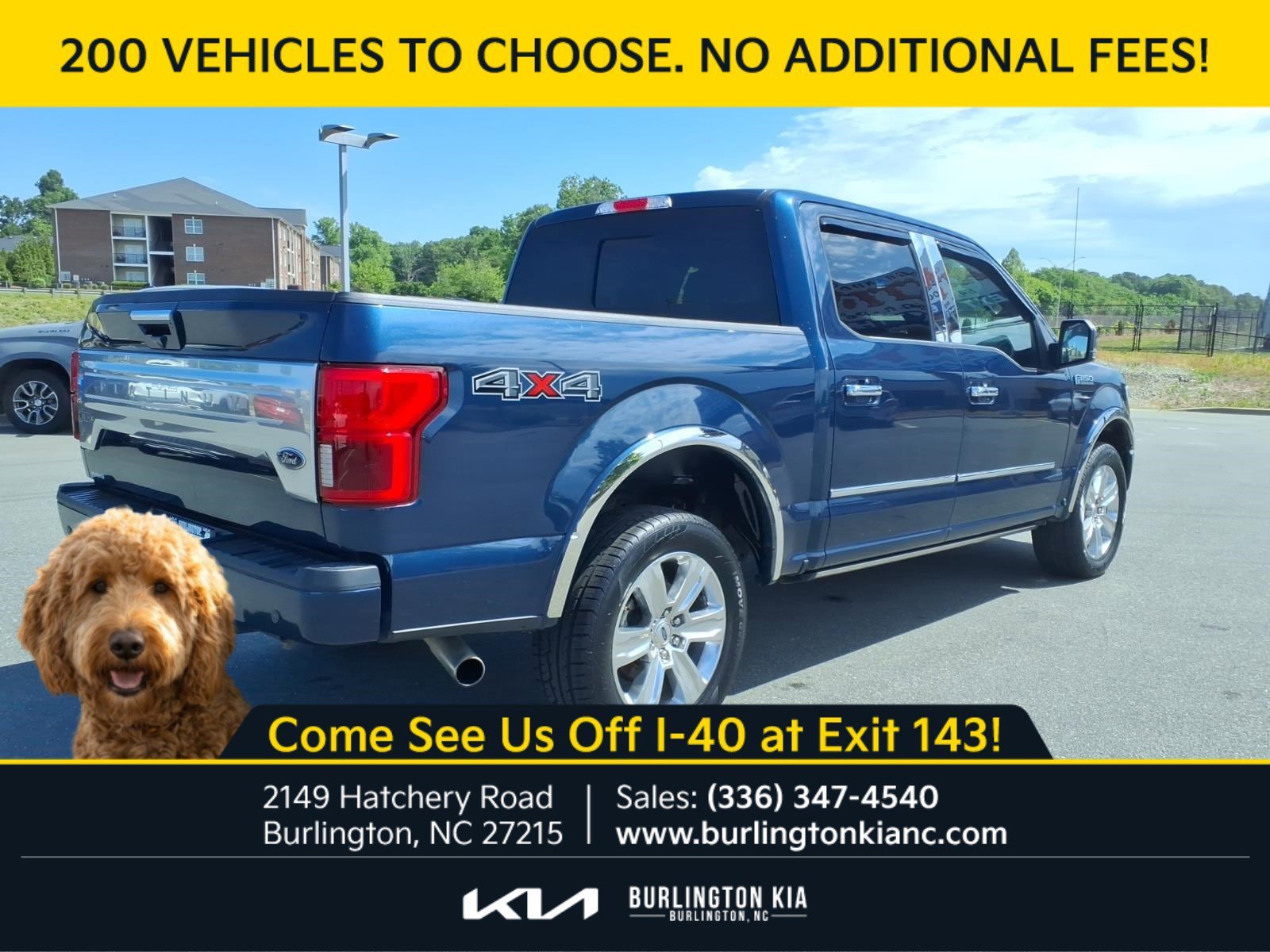 Used 2020 Blue Ford Platinum image 26