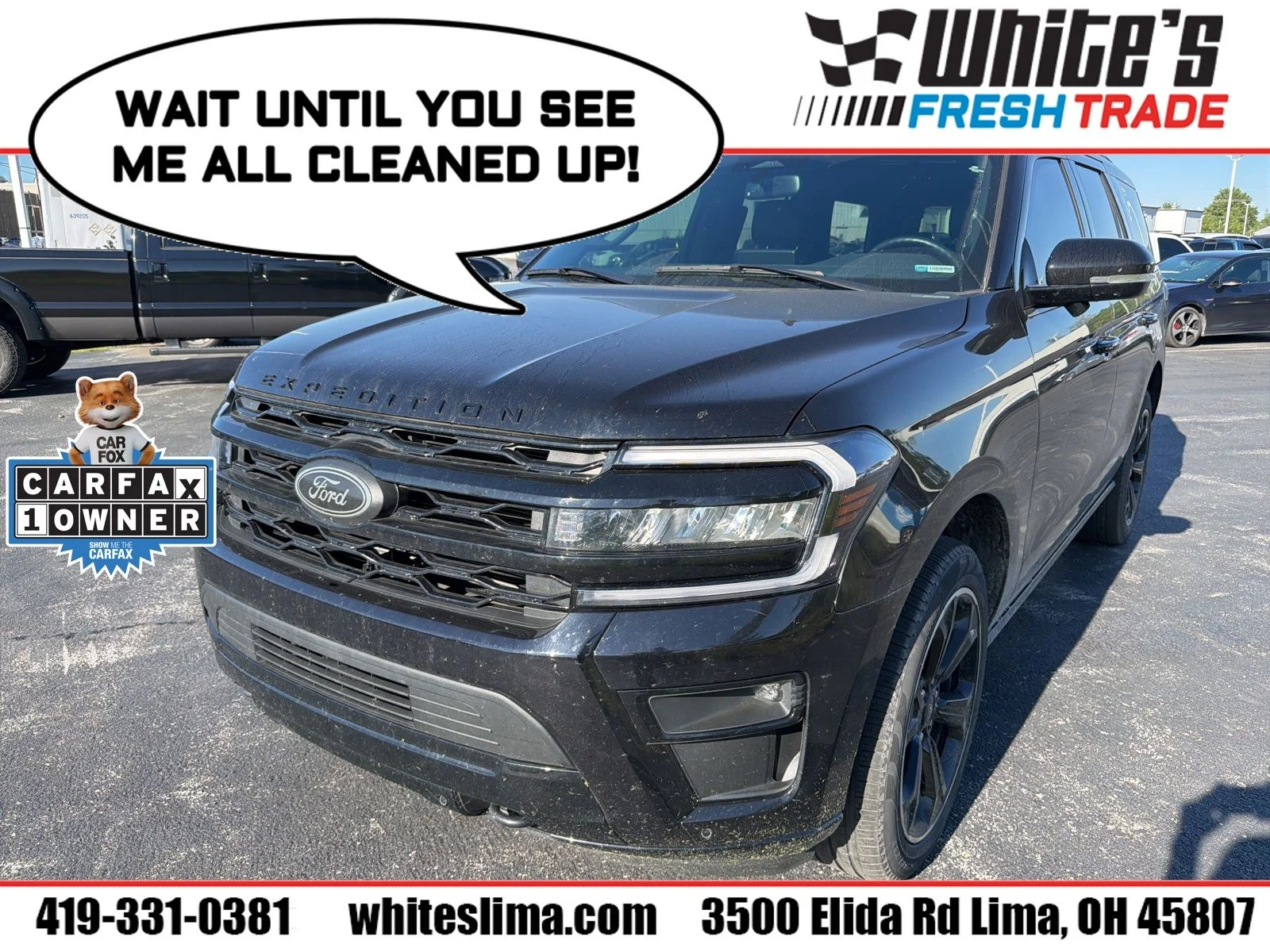 2024 Ford Expedition Limited 4X4's photo