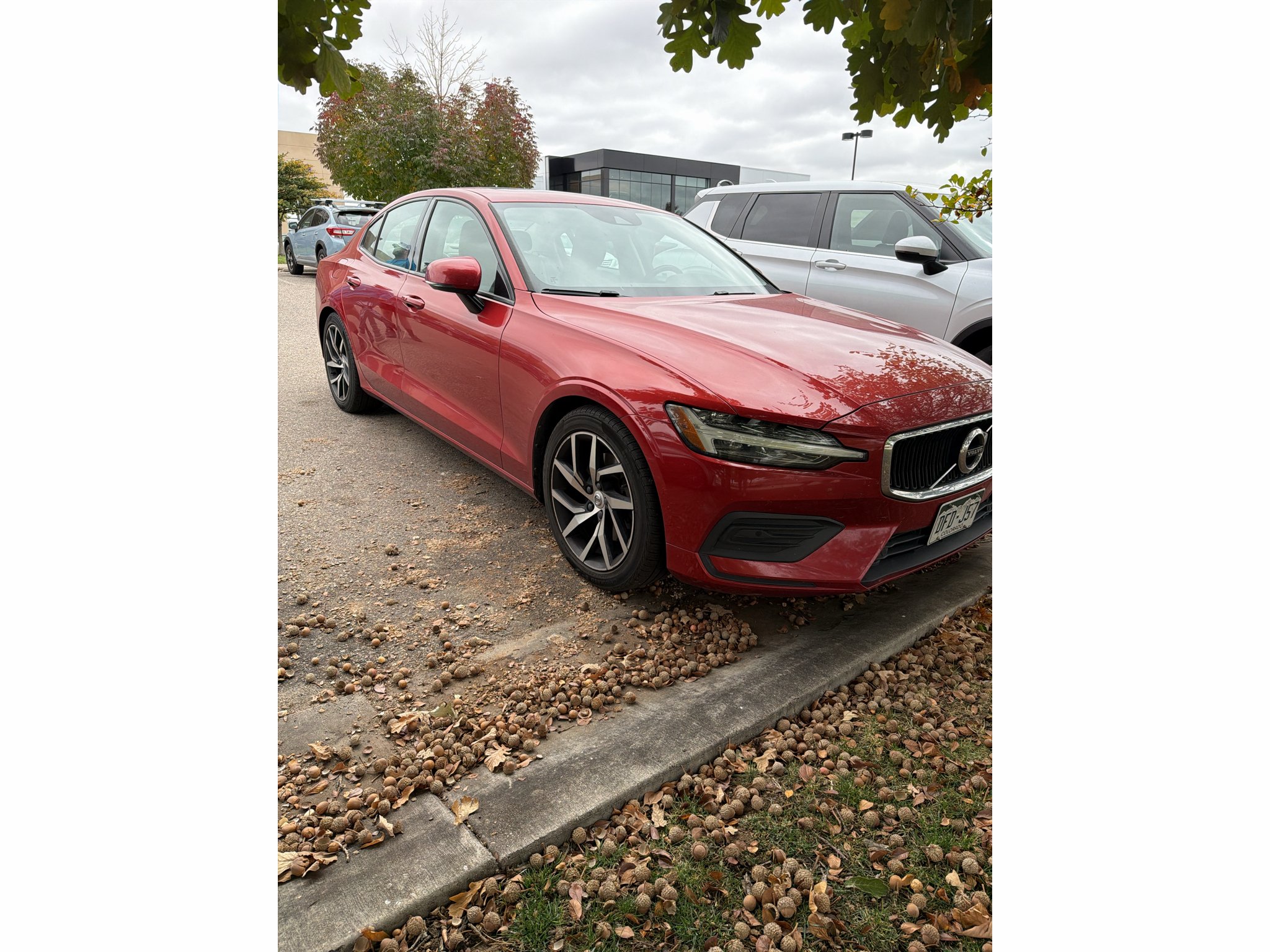 Used 2019 Red Volvo Momentum image 3
