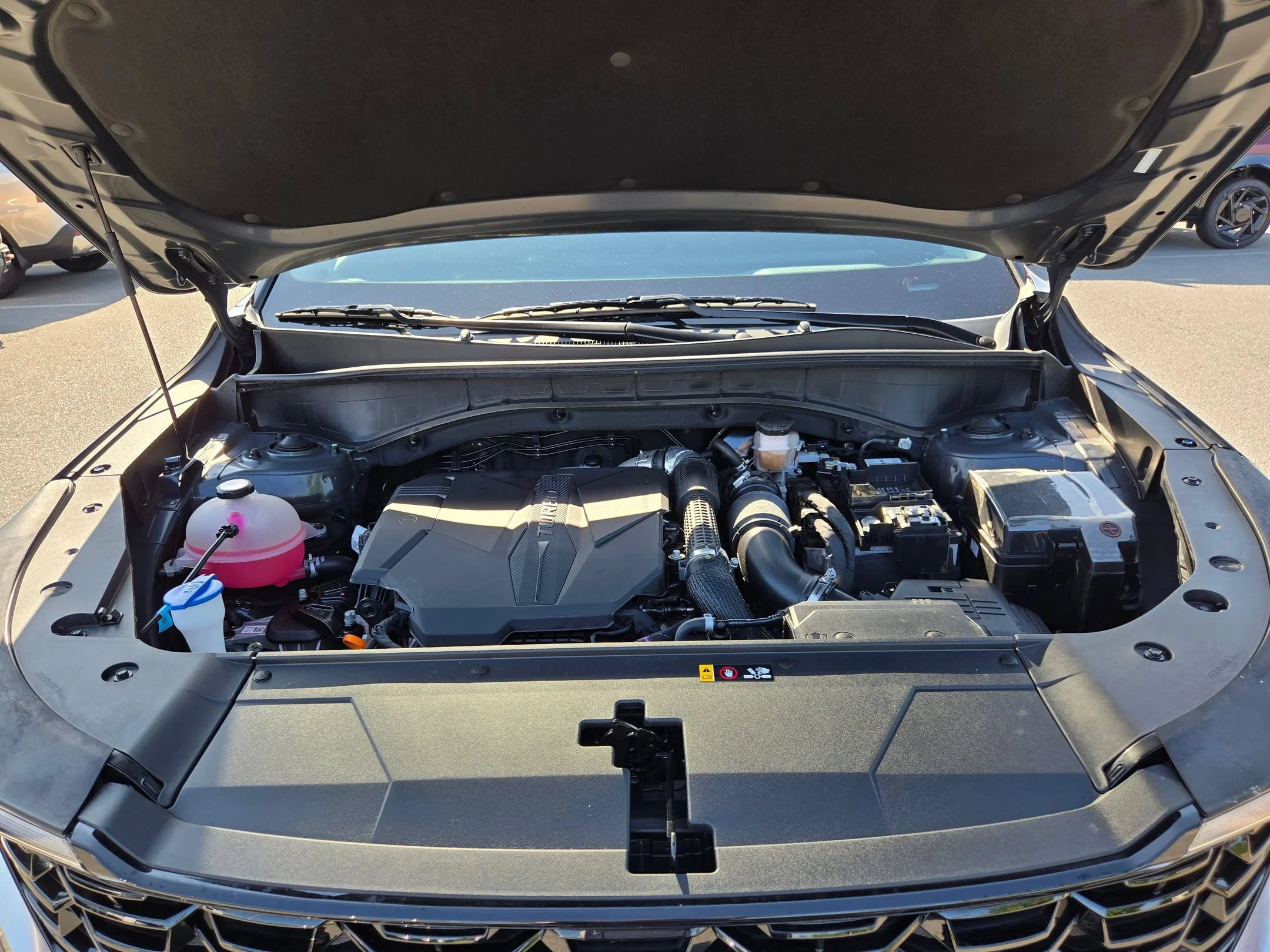 Used 2025 Panthera Metal Kia EX image 19